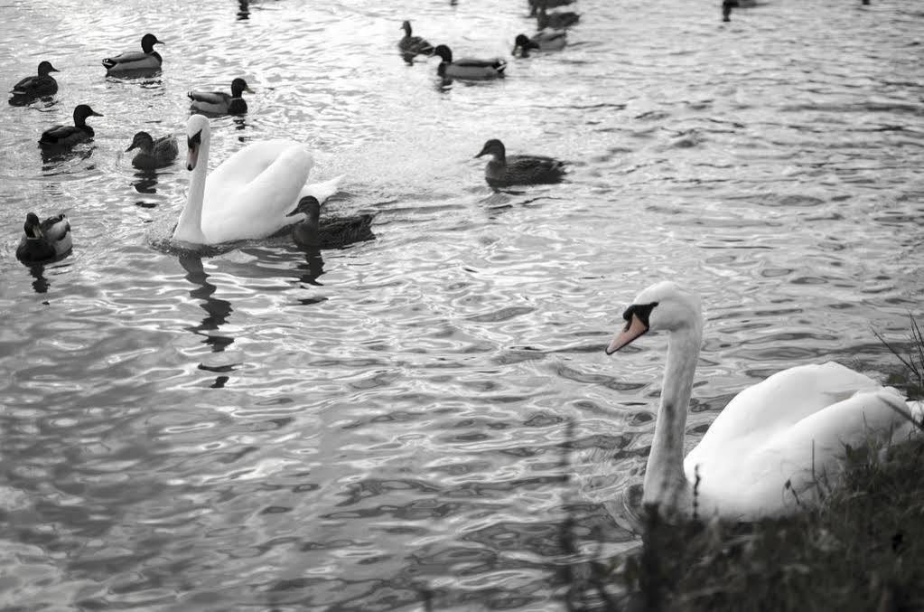 New Inn Hotel Lechlade Luaran gambar